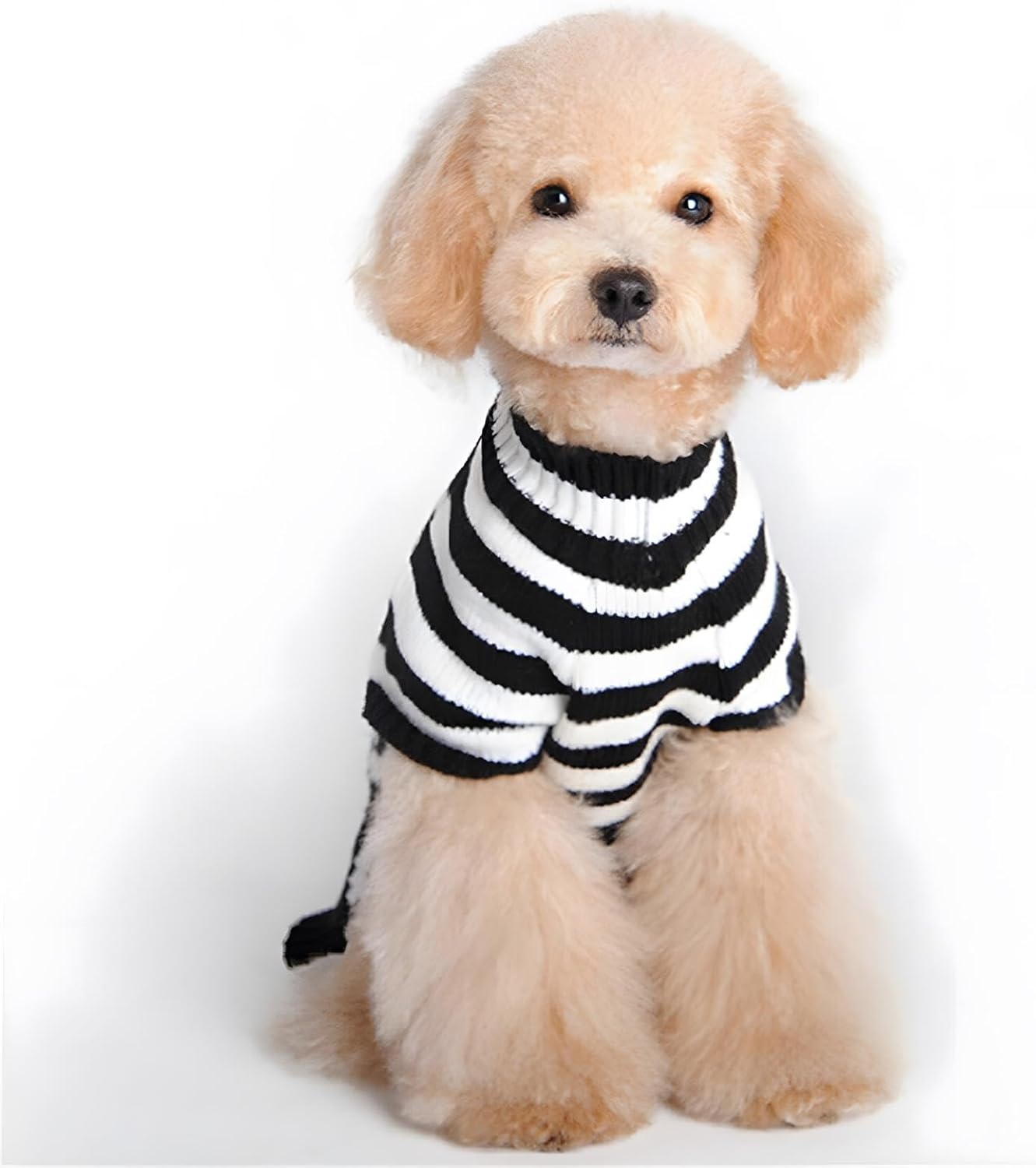 NACOCO Pet Sweaters Skeleton Sweater The Cat Dog Clothes Pet Clothing Little Puppy Dog Sweaters