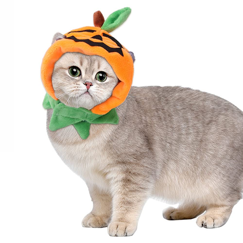 NACOCO Halloween Cat Costumes Pet Pumpkin Hat Kitty Adjustable with Scarf Cosplay Collar Cap for Cat Small Dog Party Kitten Decoration Cute Head Accessories