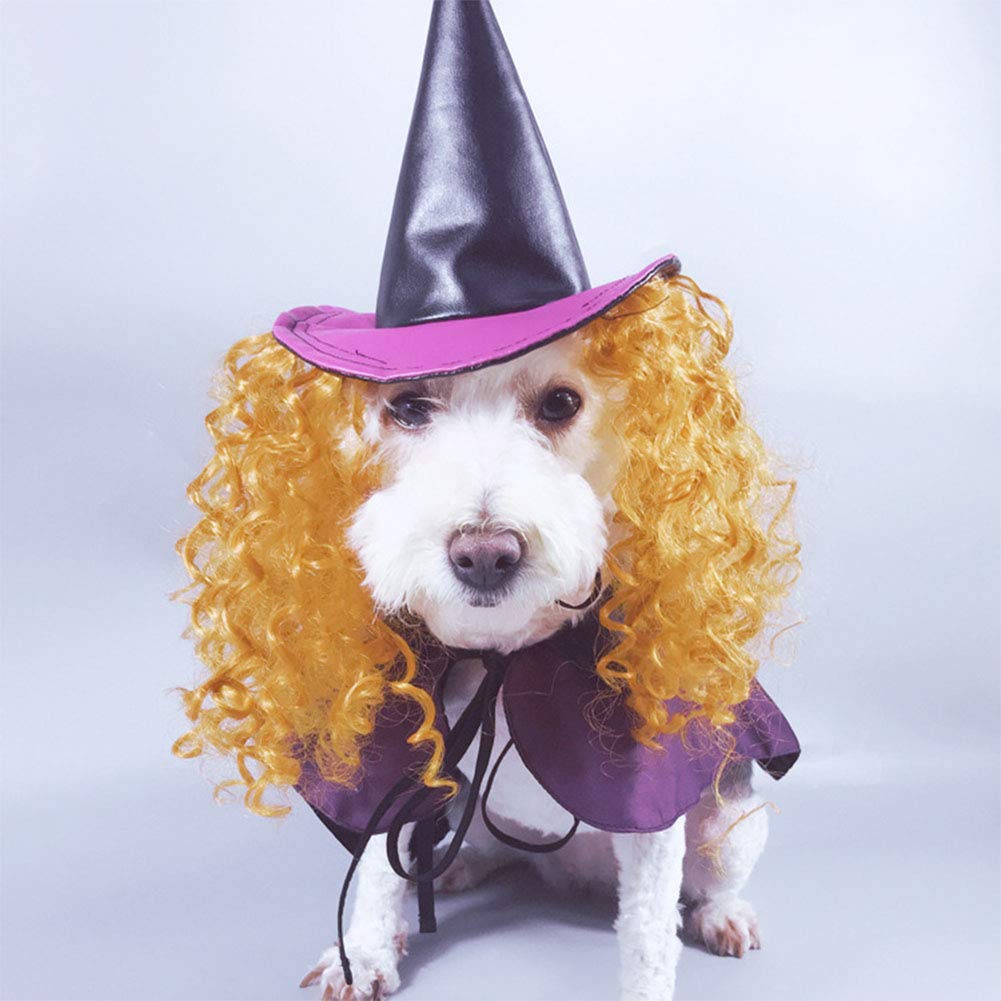 NACOCO Dog Halloween Wizard Hat Cat Cap Pet Costume Cloak with Necromancer Accessories Wig Funny for Dogs Cats