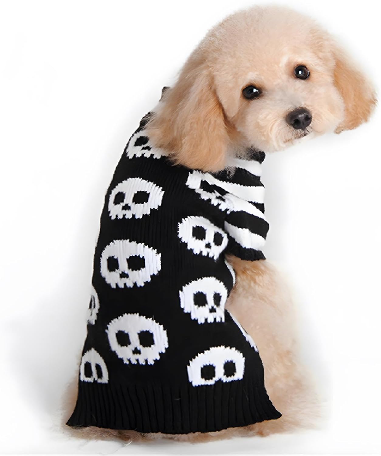 NACOCO Pet Sweaters Skeleton Sweater The Cat Dog Clothes Pet Clothing Little Puppy Dog Sweaters