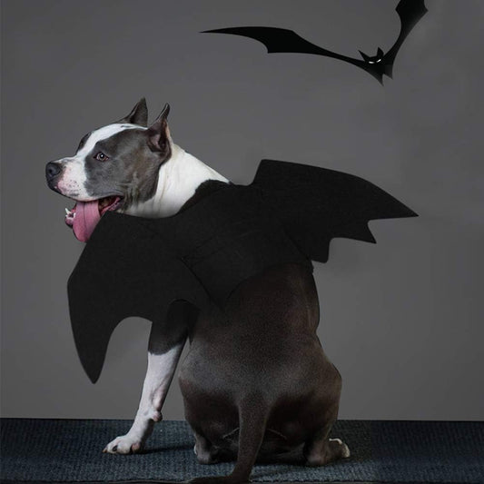 NACOCO Dog Bat Wings Halloween Pet Black Bat Costume Dog Wings Costume Accessories for Party Cosplay Halloween