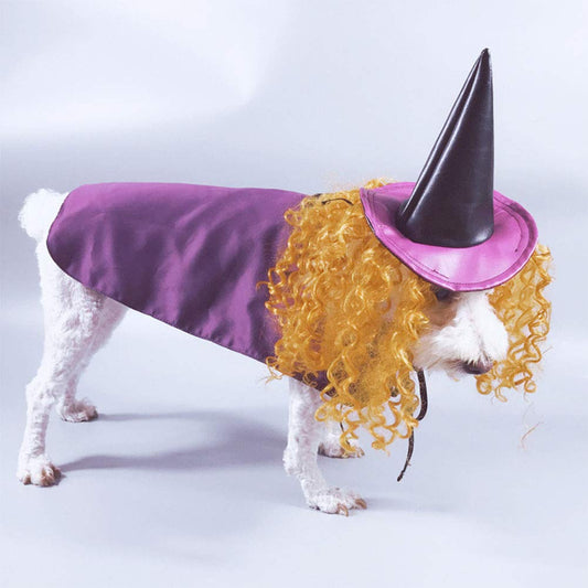 NACOCO Dog Halloween Wizard Hat Cat Cap Pet Costume Cloak with Necromancer Accessories Wig Funny for Dogs Cats