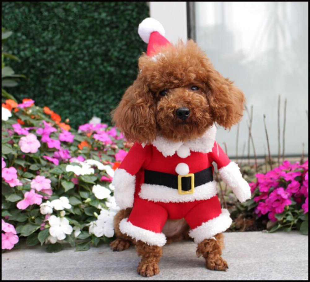 NACOCO Pet Christmas Costumes Dog Suit with Cap Santa Claus Suit Dog Hoodies Cat Xmas Costumes