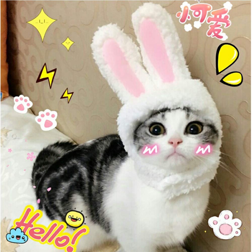 NACOCO Easter Cute Bunny Ears Plush Headdress Cat White and Pink Rabbit Hat Decoration Girl White Rabbit Cap for Cat Dog&Adult Woman and Man (Pet)