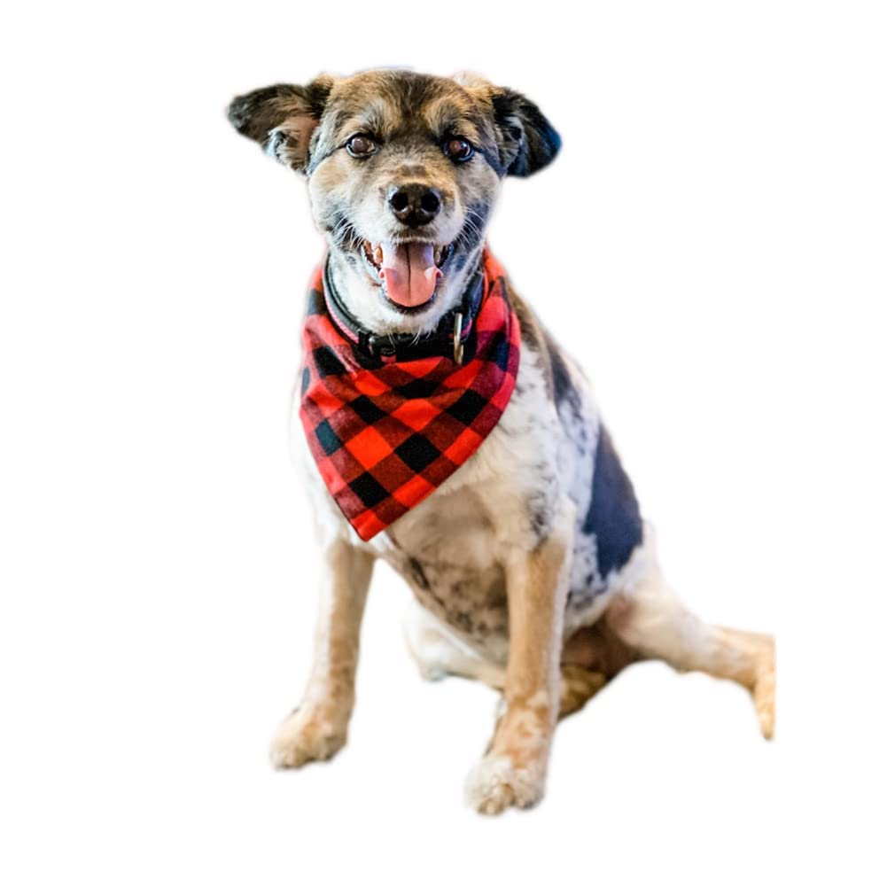 NACOCO Dog Bandana Bibs Pet Plaid Scarf Triangle Head Scarfs Accessories Neckerchief for Small and Medium Dog