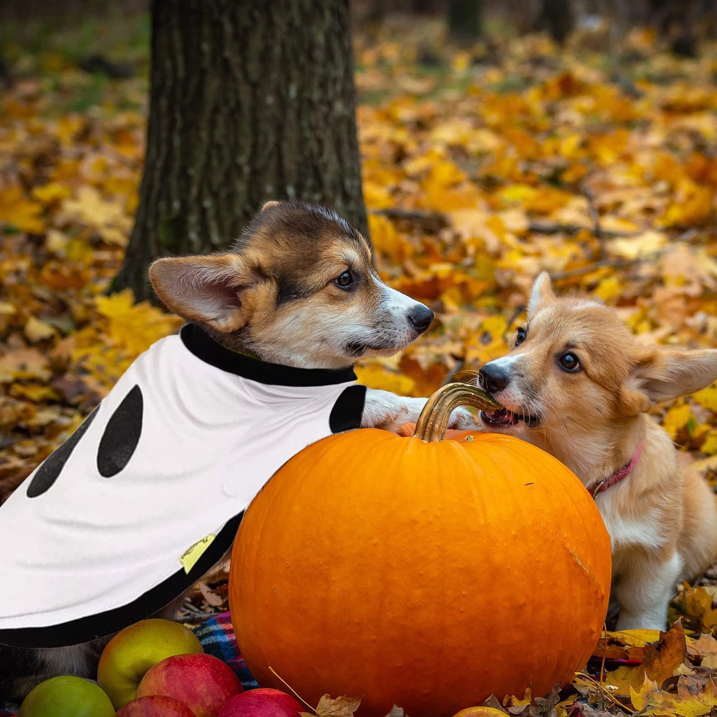 NACOCO Halloween Dog Ghost Hoodies - Shirt Costume Dog Tees for Small Dogs Funny Cute