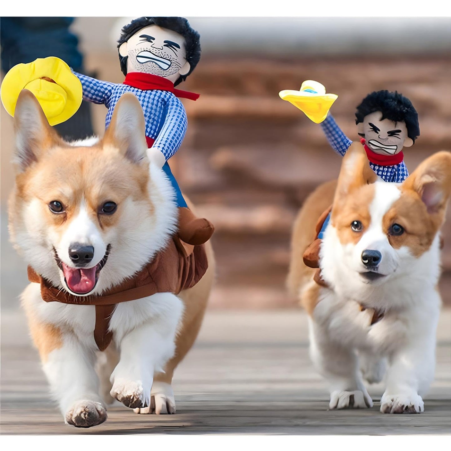 NACOCO Cowboy Rider Dog Costume for Dogs Clothes Knight Style with Doll and Hat for Halloween Day Pet Costume.