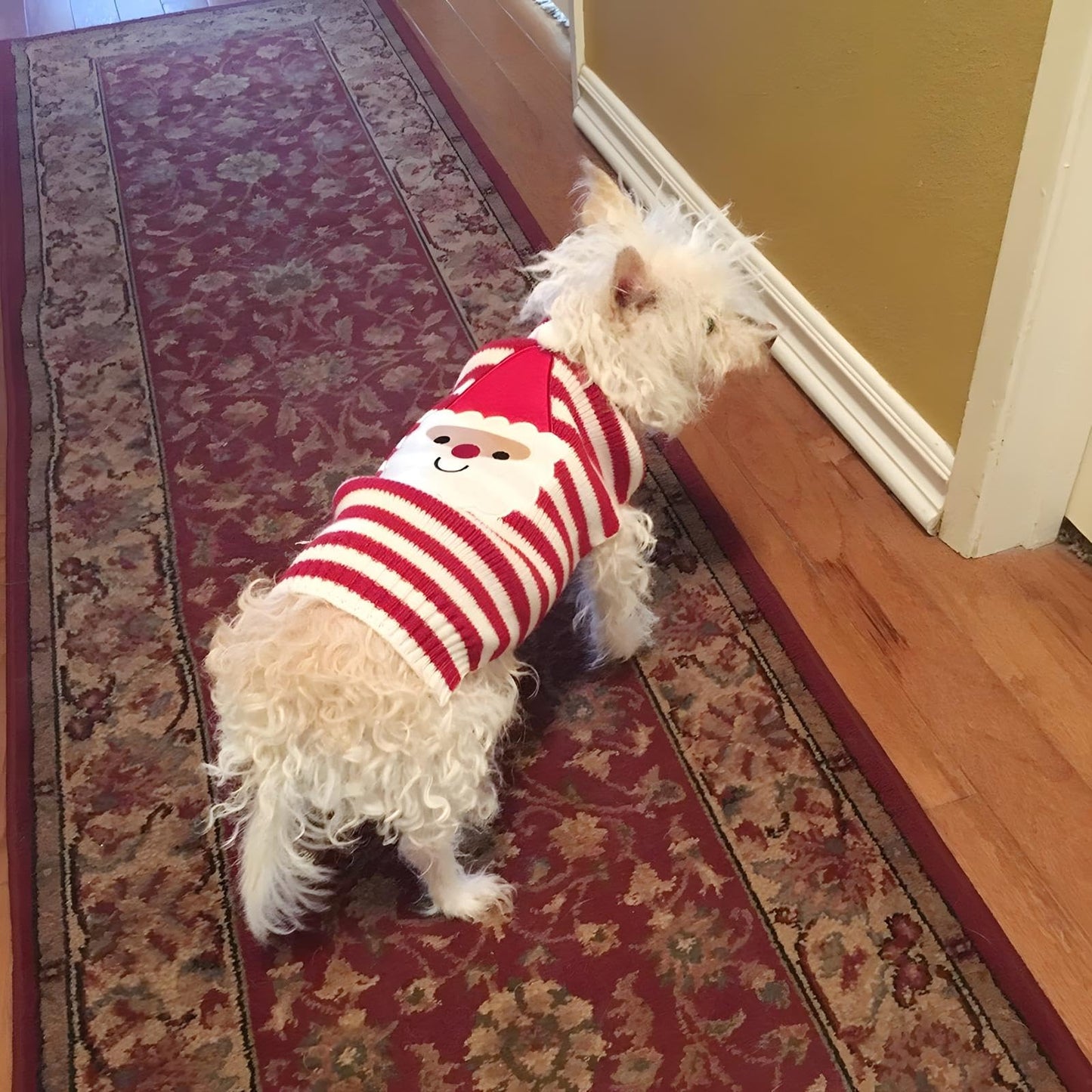NACOCO Santa Claus Pet Sweater Dog Sweaters Cold Weather Outfit for Small to Medium Sized Dogs and Cats for Christmas Day