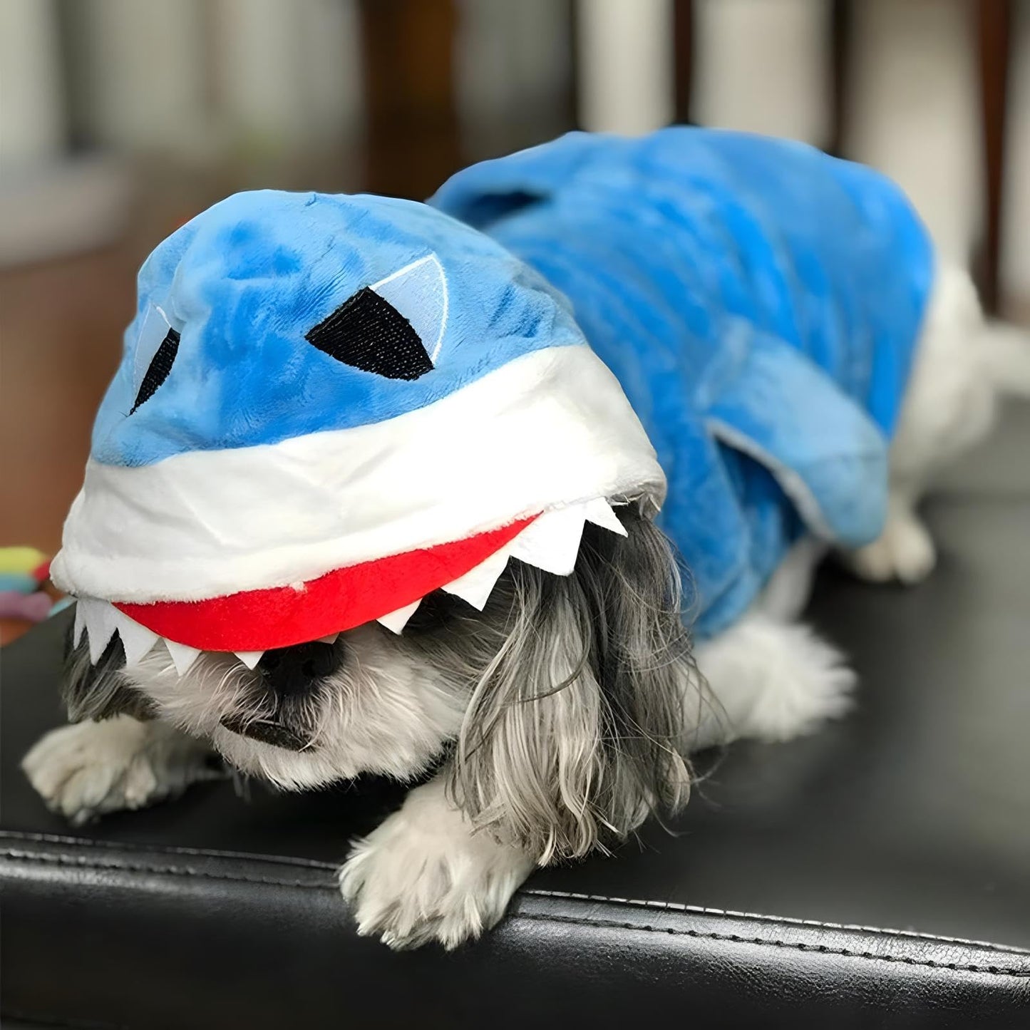 NACOCO Dog Shark Costume Cute Pet Clothes Halloween Holiday Coat Hoodie for Cats and Dogs.(BLUE)
