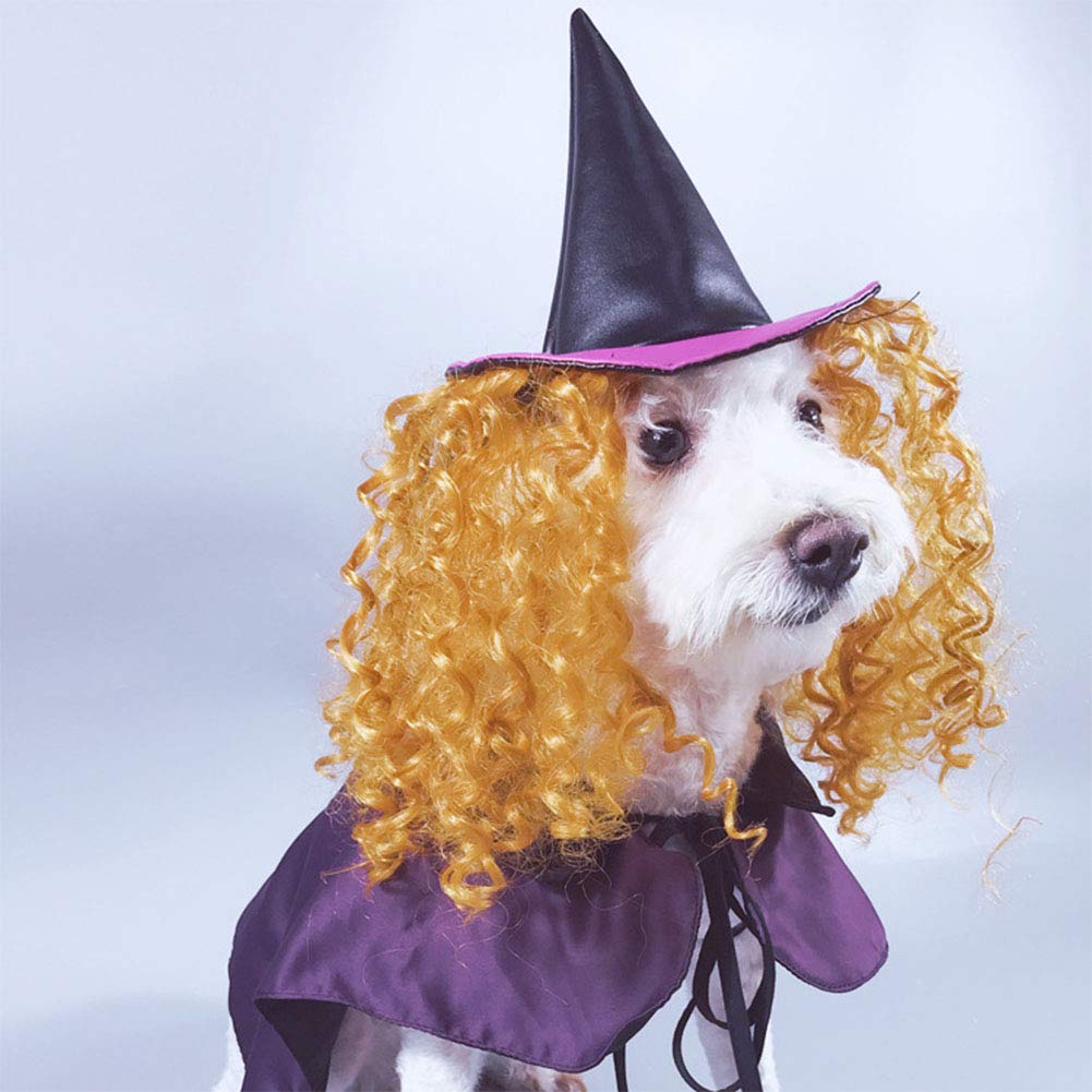 NACOCO Dog Halloween Wizard Hat Cat Cap Pet Costume Cloak with Necromancer Accessories Wig Funny for Dogs Cats