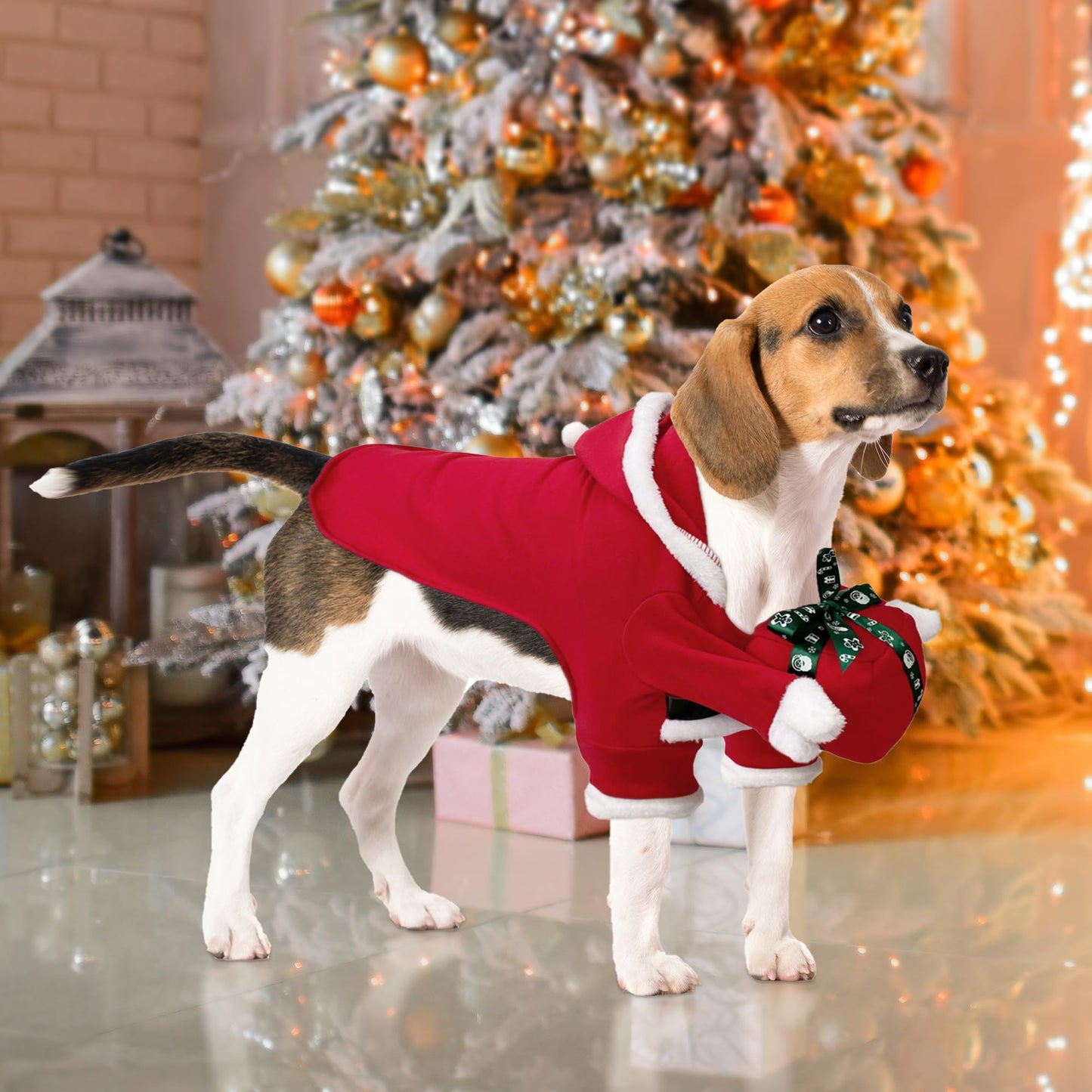 NACOCO Christmas Dog Hoodie Costume - Pet Gift Carrying Style Coat Clothes Christmas Santa Funny Apparel Outfit Winter Warm for Medium Dog Party Accessories Clothing