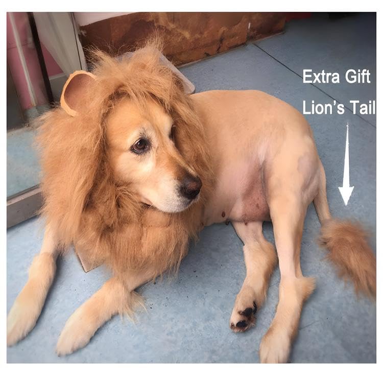 NACOCO Dog Wig Lion Mane Hair Hat with Ear and Tail Funny Halloween Dog Costume for Large Dogs Golden Retriever