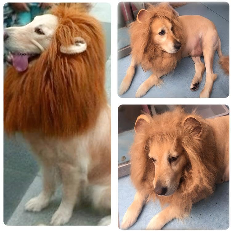 NACOCO Dog Wig Lion Mane Hair Hat with Ear and Tail Funny Halloween Dog Costume for Large Dogs Golden Retriever